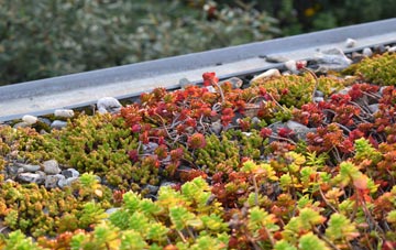 the cost of Rosemarkie green roof installation